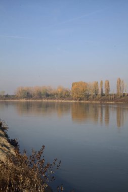 Nehrin kıyısındaki setin kenarında selvi ağaçları olan bir yol.