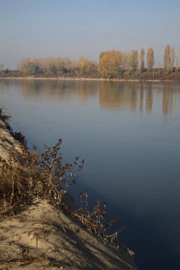 Nehrin kıyısındaki setin kenarında selvi ağaçları olan bir yol.