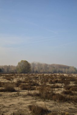 Sonbaharda arka planda ormanları olan patikaları ve çalıları olan Sandy nehri kenarı.