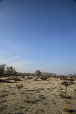 Sonbaharda arka planda ormanları olan patikaları ve çalıları olan Sandy nehri kenarı.