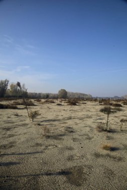 Sonbaharda arka planda ormanları olan patikaları ve çalıları olan Sandy nehri kenarı.