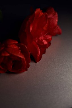 Gri bir yüzeyde üç kırmızı gül. Yakından görülüyor.