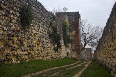 Bulutlu bir günde tahkimatlarla çevrili toprak bir yolda çıplak ağaç büyür.