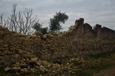 Bulutlu bir günde parktaki taş bir duvarın tepesinde açılıyor.