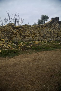 Bulutlu bir günde parktaki taş bir duvarın tepesinde açılıyor.