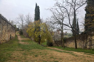 Sonbaharda bulutlu bir günde parkın ortasında büyüyen bir ağacın olduğu taş duvarlarla çevrili bir yol.