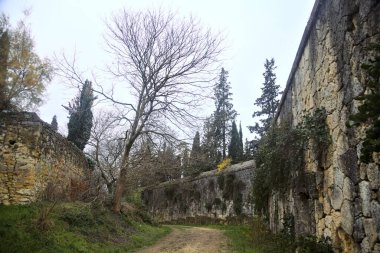 Sonbaharda bulutlu bir günde, taş duvarlarla çevrili bir parkta, bir koruluğun başındaki toprak yol.
