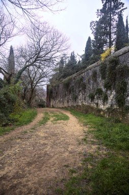 Sonbaharda bulutlu bir günde, taş duvarlarla çevrili bir parkta, bir koruluğun başındaki toprak yol.