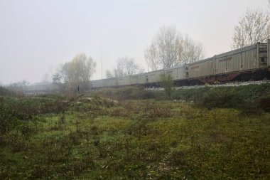 Sonbaharda sisli bir günde koruluğun yanındaki demiryolu raylarından geçen yük vagonları.