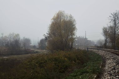 Sonbaharda sisli bir günde ağaçların yanındaki toprak zeminde demiryolu hattı.