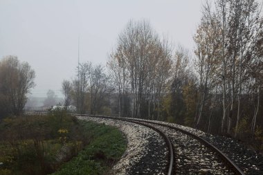 Sonbaharda sisli bir günde ağaçların yanındaki toprak zeminde demiryolu hattı.