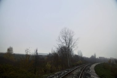 Sonbaharda sisli bir günde ağaçların yanındaki toprak zeminde demiryolu hattı.