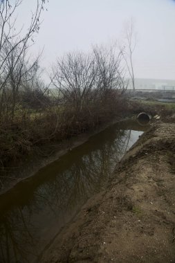 İtalya 'nın sonbaharda kırsalında sisli bir günde, kenarında çıplak bir ağaç olan su akıntısı.