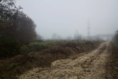 Sonbaharda sisli bir günde çıplak ağaçlarla çevrili çamurlu bir yol.