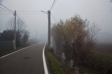 Kışın sisli bir günde çıplak ağaçlar ve tahta sütunlarla dar bir köy yolu.