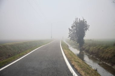 Sulama kanalının kenarındaki ağaç sisli bir kış gününde köy yolunun yanında.