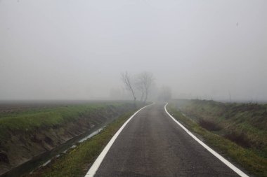 Sulama kanalının kenarındaki ağaç sisli bir kış gününde köy yolunun yanında.