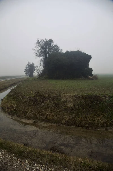 Abandoned mansion in a field by the edge of a road and an irrigation channel on a foggy day in the italian countryside