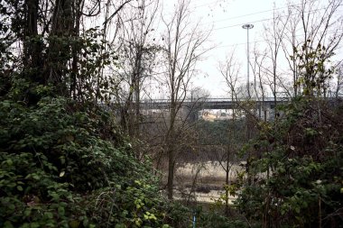 Bulutlu bir günde parktan görünen bir nehir ve bir viyadük.