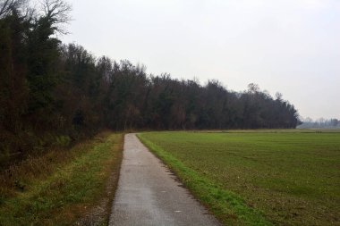 Asphalt trail bordered by a cultivated field and a forest next to a stream of water on a cloudy day in the italian countryside