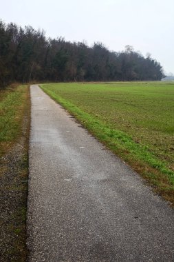 Asphalt trail bordered by a cultivated field and a forest next to a stream of water on a cloudy day in the italian countryside