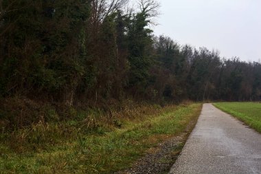 Asphalt trail bordered by a cultivated field and a forest next to a stream of water on a cloudy day in the italian countryside