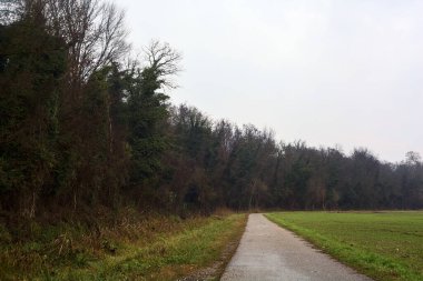 Asphalt trail bordered by a cultivated field and a forest next to a stream of water on a cloudy day in the italian countryside