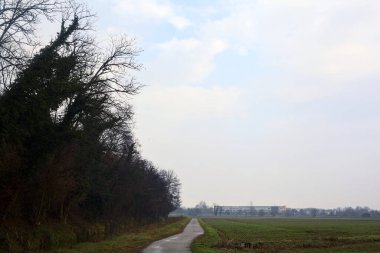 Asphalt trail bordered by a cultivated field and a forest next to a stream of water on a cloudy day in the italian countryside