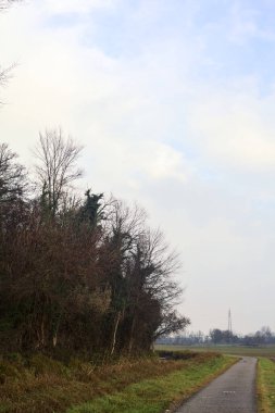 Asphalt trail bordered by a cultivated field and a forest next to a stream of water on a cloudy day in the italian countryside