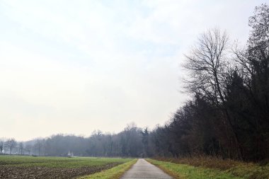 Asphalt trail bordered by a cultivated field and a forest next to a stream of water on a cloudy day in the italian countryside