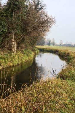 Stream of water that borders a forest next to a field on a cloudy day in the italian countryside