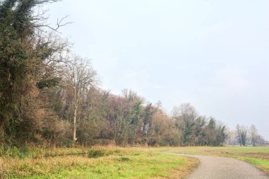 Asphalt trail bordered by a cultivated field and a forest next to a stream of water on a cloudy day in the italian countryside
