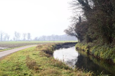 Asphalt trail bordered by a cultivated field and a forest next to a stream of water on a cloudy day in the italian countryside