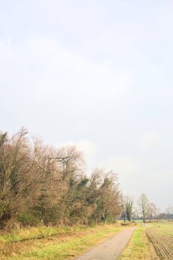 Asphalted trail with a forest and a stream of water at its edge in the middle of cultivated fields on a cloudy day in the italian countryside