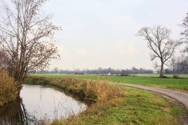 Asphalted trail with a forest and a stream of water at its edge in the middle of cultivated fields on a cloudy day in the italian countryside