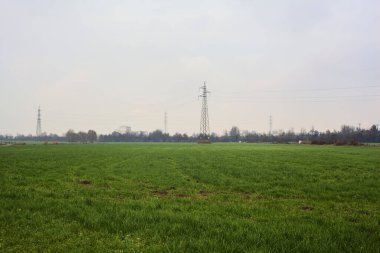 Cultivated field with pylons and trees in the distance on a cloudy day in the italian countryside