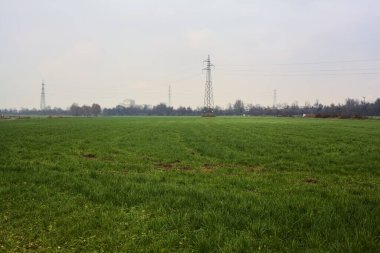 Cultivated field with pylons and trees in the distance on a cloudy day in the italian countryside