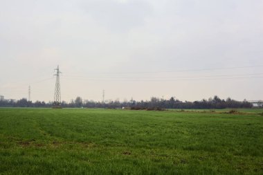 Cultivated field with pylons and trees in the distance on a cloudy day in the italian countryside