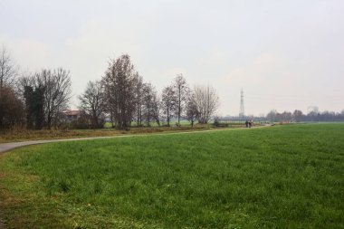 Asphalt trail bordered by fields and a stream of water with a bridge crossing it next to a group of bare trees on a cloudy day