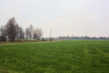 Asphalt trail bordered by fields and a stream of water with a bridge crossing it next to a group of bare trees on a cloudy day
