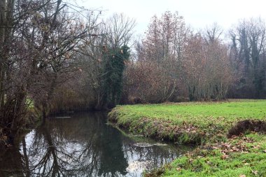 Stream of water that borders a forest next to a field on a cloudy day in the italian countryside