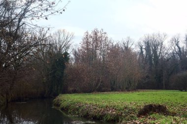 Stream of water that borders a forest next to a field on a cloudy day in the italian countryside