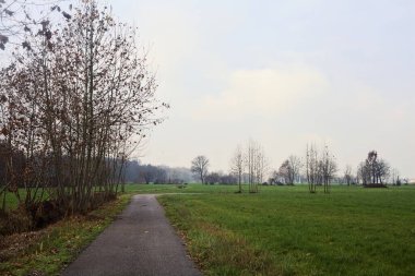Paved trail in the fields on a cloudy day in the italian countryside