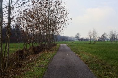 Paved trail in the fields on a cloudy day in the italian countryside