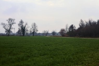 Paved trail in the fields on a cloudy day in the italian countryside