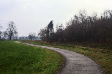 Asphalted trail with a forest and a stream of water at its edge in the middle of cultivated fields on a cloudy day in the italian countryside