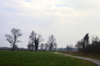 Asphalted trail with a forest and a stream of water at its edge in the middle of cultivated fields on a cloudy day in the italian countryside