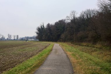 Asphalt trail bordered by a cultivated field and a forest next to a stream of water on a cloudy day in the italian countryside