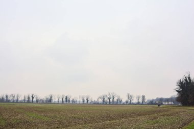Paved path next to a cultivated field with a row of bare trees in the distance on a cloudy day
