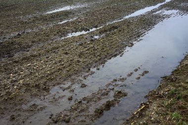 Puddle in a cultivated field seen up close